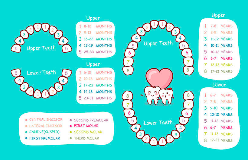 Odontopediatría